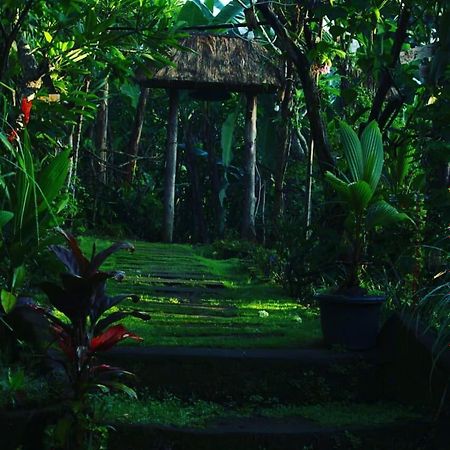 Bucu Hidden Guest House, And Meditation Center Payangan Exterior foto